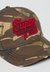 DIRT ROAD TRUCKER CAP