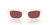 0HC8390U Injected Women Sunglasses