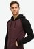 ESSENTIAL BASEBALL ZIPHOOD