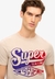 FLOCKED FADE GRAPHIC T SHIRT