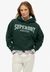 ATHLETIC ESS RELAXED HOOD