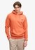 ESSENTIAL LOGO HOODIE