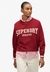 ATH ESS RELAXED APPLIQUE CREW