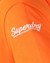 VARSITY BADGE HOODIE