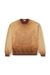 Brown Faded sweatshirt with devoré Phoenix logo