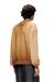 Brown Faded sweatshirt with devoré Phoenix logo