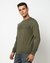 Cotton Solid Regular Fit Round Neck Green Sweater