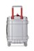 Rugged suitcase size S