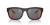 0PS 01ZS Injected Men Sunglasses