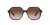 0SK6003 Acetate Women Sunglasses