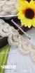 Cream-Gold Imported Floral Scallop Organza Lace