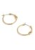Signature Hoop Earrings
