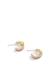 Signature C Enamel Huggie Earrings