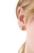 Amour Studs
