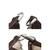Duo Giraffe Haircalf Mini Shoulder Bag
