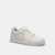 Soho Sneaker In Signature
