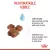 Royal Canin Mother & Baby Cat Dry Cat Food