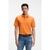 Pallas Regular-Fit Cotton Polo Shirt