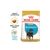 Royal Canin Rottweiler Puppy Dry Dog Food