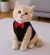 Pawsh Pet Classic Black Pet Tuxedo