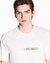 Slim Fit Cotton Crewneck T-Shirt With Embroidered Ombre Branding