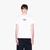 Regular Fit Cotton Round Neck T-Shirt With Logo Lettering