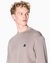 Regular Fit Cotton Crewneck Sweatshirt With Embroidered Logo