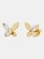 Social Butterfly Studs