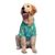 Ezra Polyester Blend Dog Shirt – Beer