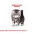 Royal Canin Persian Kitten Dry Cat Food