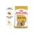 Royal Canin Shih Tzu Adult Dry Dog Food