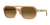 0PO3393S Acetate Unisex Sunglasses
