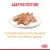 Royal Canin Loaf In Gravy Shih Tzu Adult Wet Dog Food - 85 g