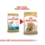 Royal Canin Shih Tzu Adult Dry Dog Food