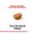 Royal Canin Rottweiler Puppy Dry Dog Food