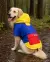 Pawsindia Dog Hooded 360° Raincoat, Navy Blue & Yellow