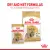 Royal Canin Light Weight Care Gravy Wet Cat Food - 85g