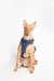 Ezra Comfort Harness For Dogs - Blue
