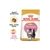Royal Canin Persian Kitten Dry Cat Food