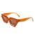 AUGEN Modern Cat Eye Plastic Unisex Sunglasses UV 400 Protected Medium Size (179-C4)