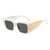 AUGEN Casual Butterfly Plastic Unisex Sunglasses UV 400 Protected Large Size (182-C5)