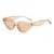 AUGEN Modern Cat Eye Plastic Women Sunglasses UV 400 Protected Medium Size (189-C4)