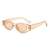 AUGEN Modern Cat Eye Plastic Women Sunglasses UV 400 Protected Medium Size (190-C8)