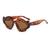 AUGEN Modern Flame Plastic Unisex Sunglasses UV 400 Protected Medium Size (195-C2)
