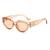 AUGEN Modern Cat Eye Plastic Women Sunglasses UV 400 Protected Medium Size (202-C4)