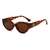 AUGEN Modern Cat Eye Plastic Women Sunglasses UV 400 Protected Medium Size (202-C6)