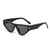 AUGEN Modern Cat Eye Plastic Unisex Sunglasses UV 400 Protected Large Size (206-C1)