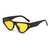 AUGEN Modern Cat Eye Plastic Unisex Sunglasses UV 400 Protected Large Size (206-C11)
