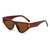 AUGEN Modern Cat Eye Plastic Unisex Sunglasses UV 400 Protected Large Size (206-C3)
