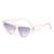 AUGEN Modern Cat Eye Plastic Unisex Sunglasses UV 400 Protected Large Size (206-C5)